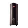 Termotanque a Gas Rheem TGNP150RH 150L Conexión Superior