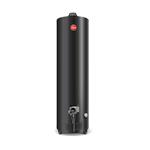 Termotanque a Gas Rheem 160 Lt APG160NRH07 Conexión Superior