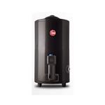 Termotanque a Gas Rheem TGNP080RH 80L Conexión Superior