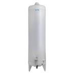 Termotanque a Gas Escorial 120 Litros Conexion Superior Multigas