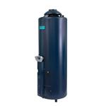 Termotanque a Gas Eskabe 76 Lt H-1100 Hybrid4 Conexión Superior