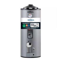 Termotanque Señorial Alta Recuperación Dual 50L Gas Eléctrico