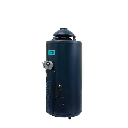 Termotanque a Gas Eskabe 52 Lt H-800 Hybrid4 Conexión Superior