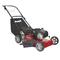 Cortadora De Césped Nafta Petri 450 Profesional